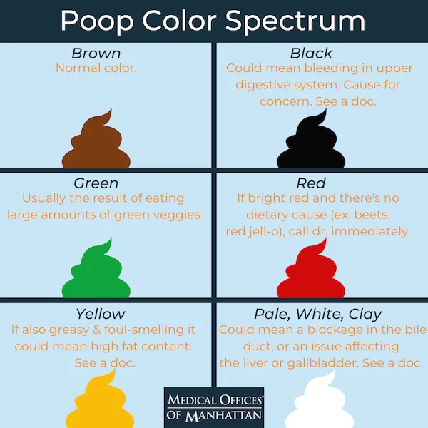 What Does It Mean When Your Poop Is Green? + When To Call the Doctor